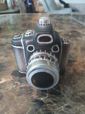 Robert Stanley Christmas Ornament Glass Black White Silver Camera


The Robert S